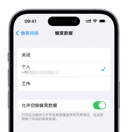 新政镇苹果维修服务分享如何在iPhone上使用双卡 